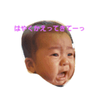 ayatomaru1（個別スタンプ：1）