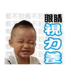 The Shrimp Family（個別スタンプ：10）