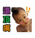 The Shrimp Family（個別スタンプ：12）