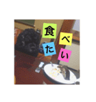 大好きなジャムちゃん（個別スタンプ：2）