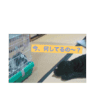 大好きなジャムちゃん（個別スタンプ：5）
