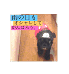 大好きなジャムちゃん（個別スタンプ：11）