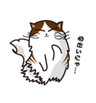 猫のユキのスタンプ（個別スタンプ：1）