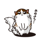 猫のユキのスタンプ（個別スタンプ：2）