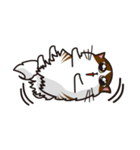 猫のユキのスタンプ（個別スタンプ：3）