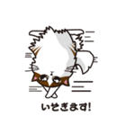猫のユキのスタンプ（個別スタンプ：11）