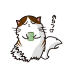 猫のユキのスタンプ（個別スタンプ：12）