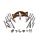 猫のユキのスタンプ（個別スタンプ：16）
