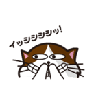 猫のユキのスタンプ（個別スタンプ：17）