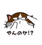 猫のユキのスタンプ（個別スタンプ：19）