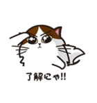 猫のユキのスタンプ（個別スタンプ：20）