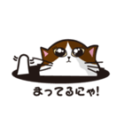 猫のユキのスタンプ（個別スタンプ：21）