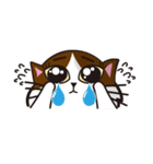 猫のユキのスタンプ（個別スタンプ：23）