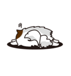 猫のユキのスタンプ（個別スタンプ：24）