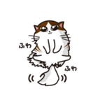 猫のユキのスタンプ（個別スタンプ：25）