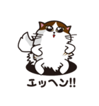 猫のユキのスタンプ（個別スタンプ：26）