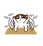 猫のユキのスタンプ（個別スタンプ：28）