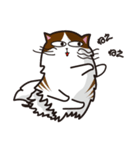 猫のユキのスタンプ（個別スタンプ：29）