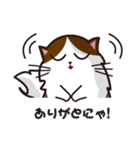 猫のユキのスタンプ（個別スタンプ：30）