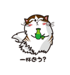 猫のユキのスタンプ（個別スタンプ：35）