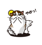 猫のユキのスタンプ（個別スタンプ：36）