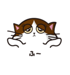 猫のユキのスタンプ（個別スタンプ：37）