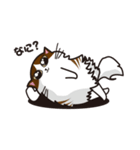 猫のユキのスタンプ（個別スタンプ：38）