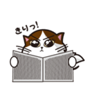 猫のユキのスタンプ（個別スタンプ：39）