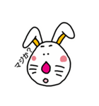 Rabbits and cats（個別スタンプ：3）