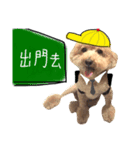 Puppies Bro2（個別スタンプ：2）