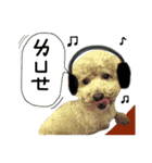 Puppies Bro2（個別スタンプ：3）
