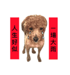 Puppies Bro2（個別スタンプ：4）