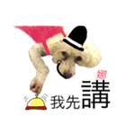 Puppies Bro2（個別スタンプ：6）