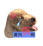 Puppies Bro2（個別スタンプ：8）