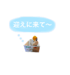 白とラテと時々あき（個別スタンプ：10）