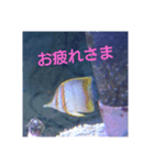 happy see（個別スタンプ：5）