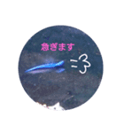 happy see（個別スタンプ：9）