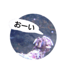 happy see（個別スタンプ：12）
