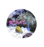 happy see（個別スタンプ：13）