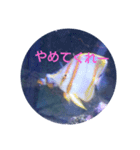 happy see（個別スタンプ：14）