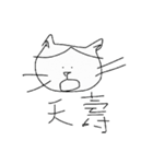 Dumb Dumb Cat（個別スタンプ：13）