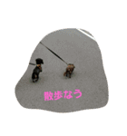 Everyday   Word（個別スタンプ：18）