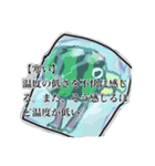 ！！！Watermelon bird！！！（個別スタンプ：5）