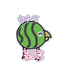 ！！！Watermelon bird！！！（個別スタンプ：16）