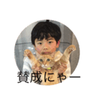happy cats 3（個別スタンプ：1）