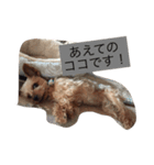 カイトと待ち合わせ（個別スタンプ：2）