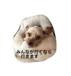 カイトと待ち合わせ（個別スタンプ：3）