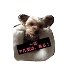カイトと待ち合わせ（個別スタンプ：4）