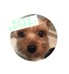 カイトと待ち合わせ（個別スタンプ：8）
