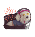 IAMI（個別スタンプ：13）